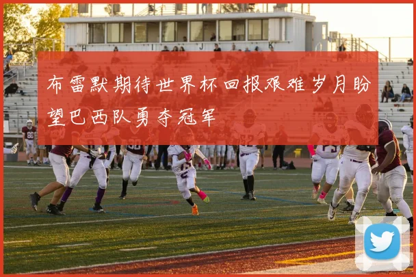 布雷默期待世界杯回报艰难岁月盼望巴西队勇夺冠军
