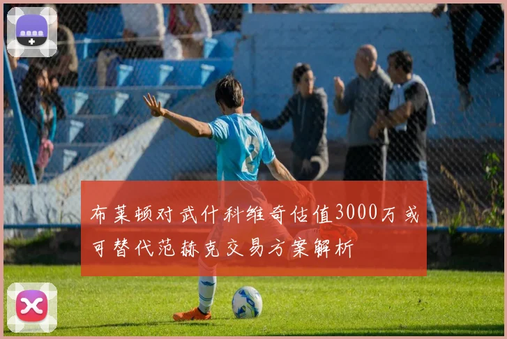 布莱顿对武什科维奇估值3000万或可替代范赫克交易方案解析